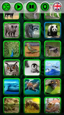 Animal sounds android App screenshot 1